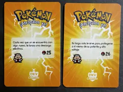 PIKACHU X RAICHU EVOLUTION LOT - POKEMON KANTO DKV COLLECTIONS CCG CARDS - Image 2