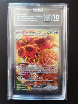 2024 POKEMON SCR EN-STELLAR CROWN SPECIAL ILLUSTRATION RARE DACHSBUN EX TAG 10 - Image 1
