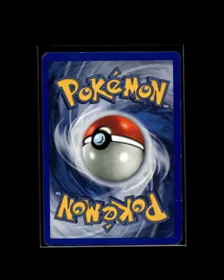 Wartortle 15/18 Southern Islands Pokemon WOTC 2001 EN MP - Image 2