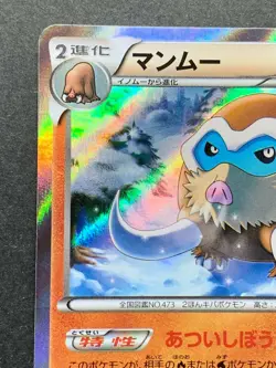 Pokemon card Mamoswine 039/059 1st 2015 Pokemon TCG Japanese Holo Rare Nintendo - Image 2