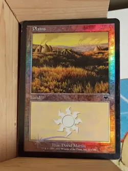 Plains (333) Onslaught Foil - Image 1