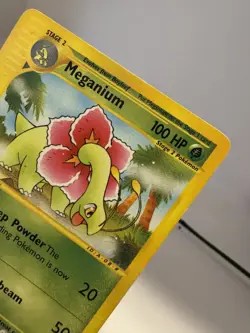 Meganium 053/165 - Pokemon TCG - Expedition Base Set - Vintage Regular - Image 5