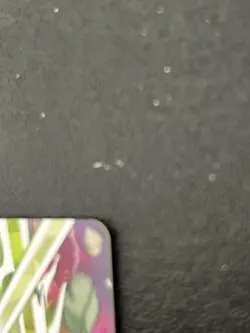 Dragon Ball Super Broly H7SEC2 Trading Card Holo Near Mint - Image 5