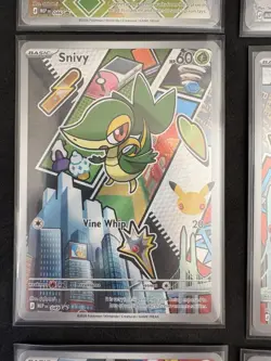Pokemon TCG First Partner Illustration Collection Series 2 Full Set Of 9 NM - Image 5