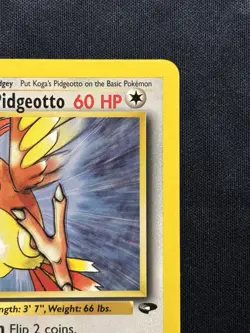 Koga's Pidgeotto #27 Gym Challenge 1st Edition - simply the “Bird Pokemon” - Image 5