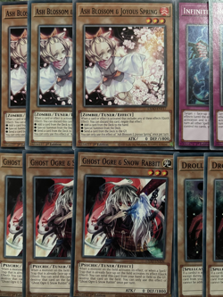 YuGiOh Handtrap Staple Ash Blossom Infinite Impermanence Veiler Droll Crossout - Image 2