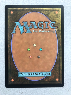 Mtg Carte Magic TSPR Delay Retard French NM - Image 2