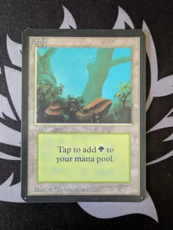 1 of Each Alpha Basic Lands Lot - Image 1