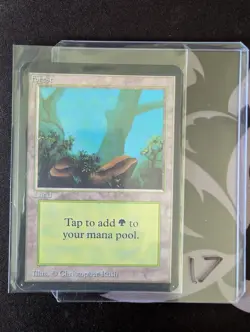 1 of Each Alpha Basic Lands Lot - Image 2