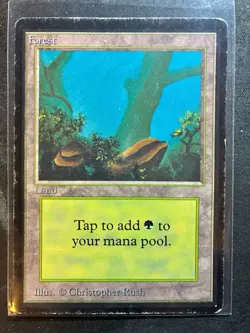 Magic the Gathering Beta Forest - Version B - WotC MtG Free Shipping - Image 1