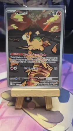 Numel 223/217 - Pokemon TCG: Ascended Heroes - Illustration Rare Holo NM - Image 2