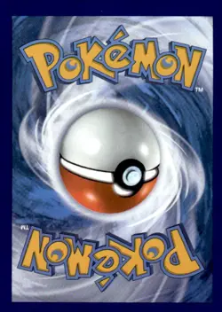 Houndoom V 021/189 Holo V Rare Darkness Ablaze Pokemon Lightly Played - Image 2