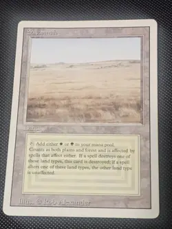 Savannah Revised Edition Dual Land Mtg - Image 1