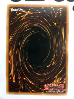 YUGIOH - MFC-026 - PALADIN OF WHITE DRAGON - ULTRA RARE - NEAR MINT - Image 4