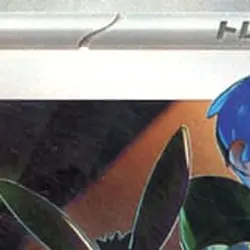 Pokemon Penny Holo SAR 354/190 SV4a Shiny Treasure ex Japanese Card - Image 3