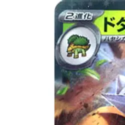 Pokemon Torterra ex Holo RR 005/071 SV5K Wild Force Japanese Card - Image 2