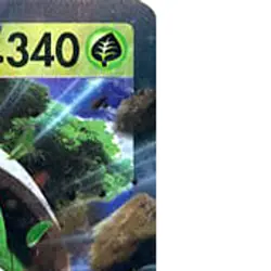 Pokemon Torterra ex Holo RR 005/071 SV5K Wild Force Japanese Card - Image 4