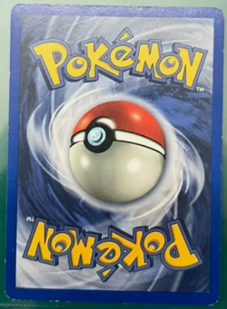 Pokemon Cards (Ninetales, Totodile, Unown, Caterpie, Pidgey, Dragonite) - Image 4