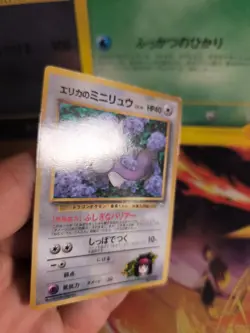 Pokemon Karte Card Erika's Dratini Gym Corocoro Promo Gloss Wotc japanese Exc-NM - Image 3