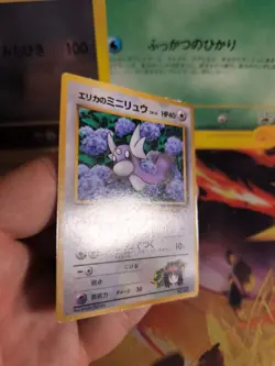 Pokemon Karte Card Erika's Dratini Gym Corocoro Promo Glossy Wotc japanese Exc - Image 3