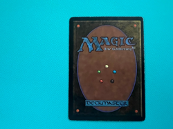 Thawing Glaciers - Alliances - MTG - Magic the Gathering - MP - Image 2