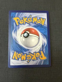Pokemon TCG Tepig First Partner Promo 30th Anniversary Chinese Sealed - Image 2