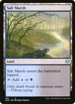 Salt Marsh - Near Mint MTG Commander 2022 Starter Decks - Image 1