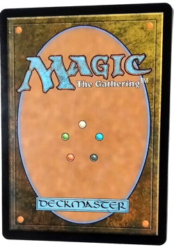 Dawn's Truce - FOIL - Bloomburrow (BLB) - EN R 0009 - Image 2