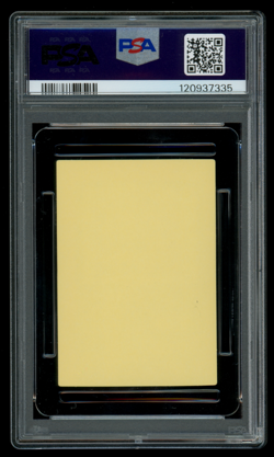 PSA 9 MINT Pokemon Japanese Shelgon #373 Bandai Kids Advance 9 Sticker - Image 2