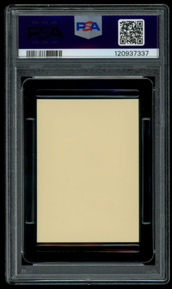 PSA 8 NM-MT Pokemon Japanese Lapras #048 Bandai Kids Firered & Leafgreen Sticker - Image 2
