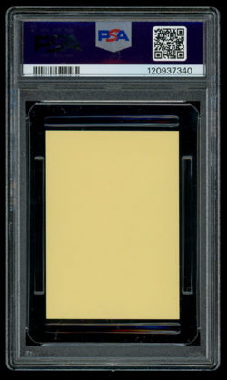 PSA 7 NM Pokemon Japanese Staryu #115 Bandai Kids Series 4 Sticker - Image 2
