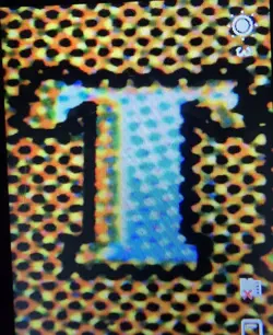 Morbid Opportunist (Borderless) M Special Guests 32 LP - Image 4