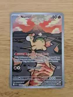 Pokemon TCG Ascended Heroes - Numel 223/217 Illustration Rare Full Art Foil ✅ - Image 1