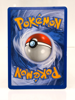 LP Torterra LV.X HOLO DP09 Diamond & Pearl BLACK STAR PROMO 2007 Pokemon - Image 2