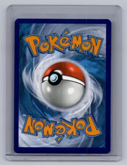Pikachu SWSH039 Holo Promo Miscellaneous Cards & Products Pokemon Near Mint - Image 2