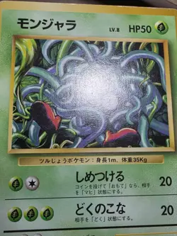 HP Tangela 114 - Base Set Japanese - Pokemon Card - Image 3