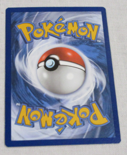 Lugia 022/025 Holo Pokemon TCG: 25th Anniversary Celebrations 2021 Pokemon Card - Image 5