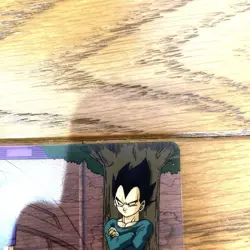 Vegeta Family Trading Card Dragon Ball Z Toriyama Akira Trunks Family Items from - Image 4