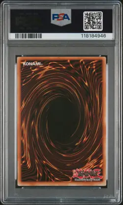 Yu-Gi-Oh! Suda-Supreme Darkness Evil Hero Neos Lord 1St Edition #EN031 PSA 8 - Image 2