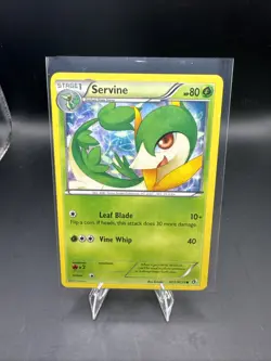 Servine RC2/RC25 Legendary Treasures: Radiant Collection Holo LP Pokemon Common - Image 1