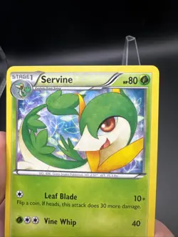 Servine RC2/RC25 Legendary Treasures: Radiant Collection Holo LP Pokemon Common - Image 3
