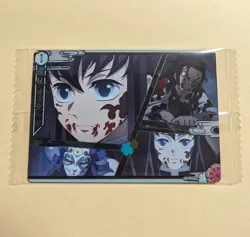 Demon Slayer wafer card EP9 Kasumi Pillar tokito muichiro w8-09 N holo Japanese - Image 1