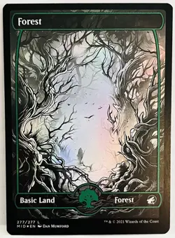 Forest (#277) FOIL-MTG-Innistrad: Midnight Hunt- NM - Image 1