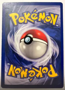 Dubwool V - SWSH049 Black Star Promo Ultra Rare Pokemon - NM/MINT - Image 2