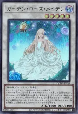 Garden Rose Maiden QCDB-JP035 (Super Rare) Yugioh Japanese NM - Image 1