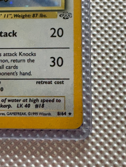 Pidgeot pokemon card Holo Rare – Jungle Set 8/64 (1999) – Near Mint - Image 2