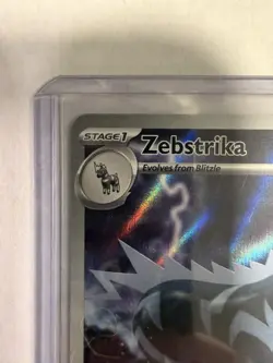 Zebstrika Illustration Rare SV: White Flare 115/086 Pokemon - Image 2