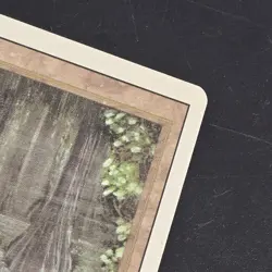 Bayou Revised Edition Regular MP Dual Land Magic The Gathering MTG Ships FAST - Image 2