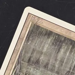 Bayou Revised Edition Regular MP Dual Land Magic The Gathering MTG Ships FAST - Image 3