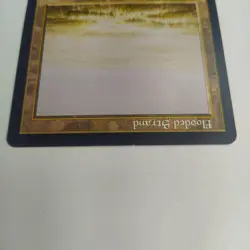 MTG Flooded Strand Onslaught - Signed by Artist Rob Alexander - Image 3